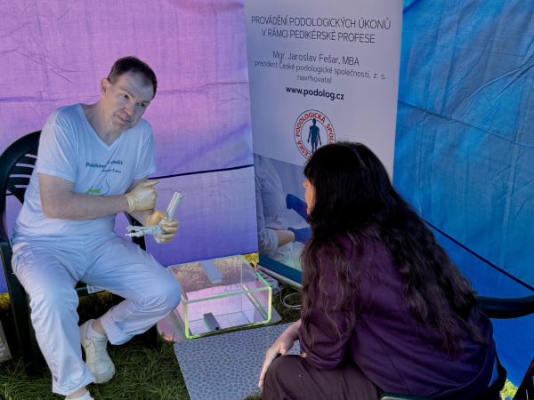 Jarmark chutí, Teplice