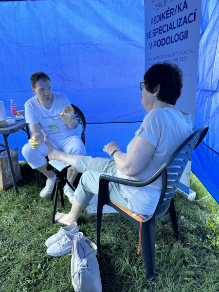 Jarmark chutí, Teplice