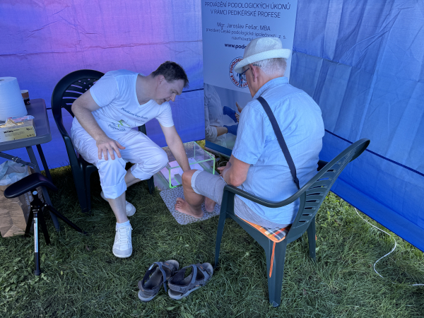 Jarmark chutí, Teplice